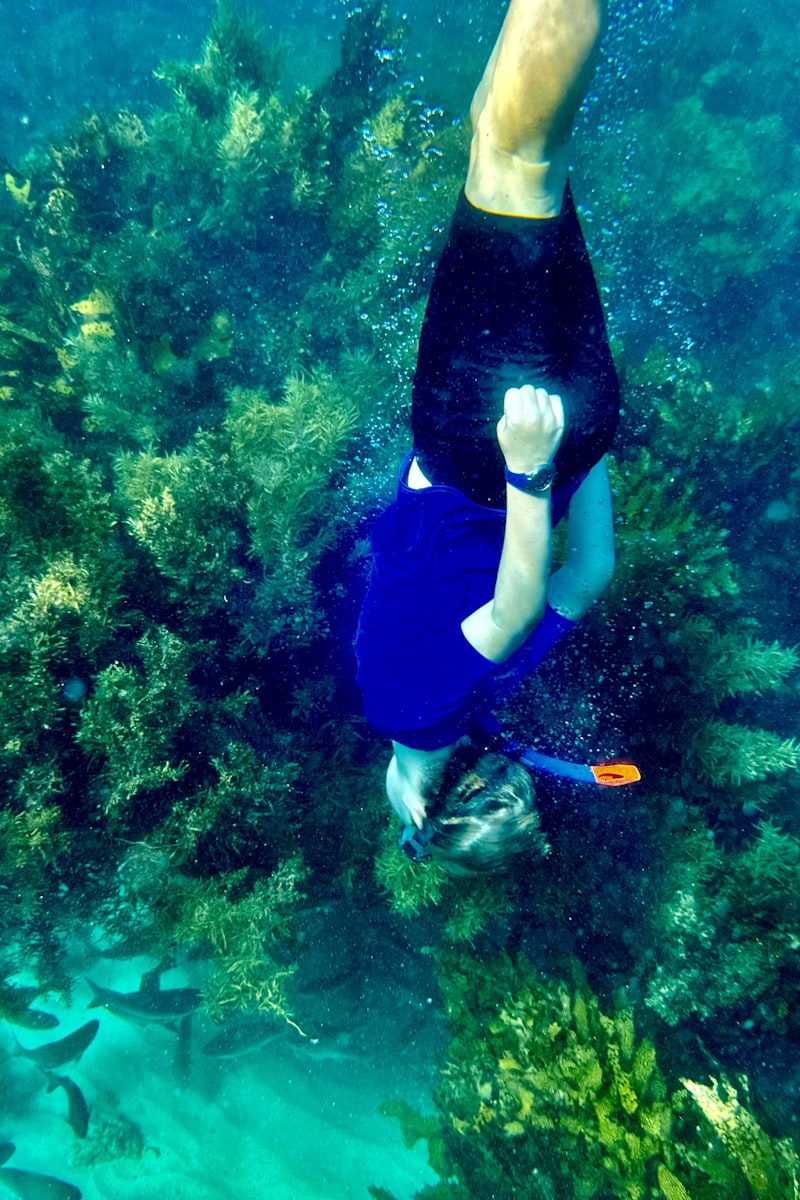Snorkeling